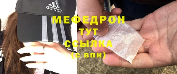 индика Дмитров