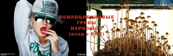PSILOCYBIN Алексеевка