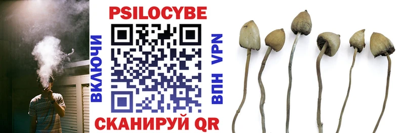 Псилоцибиновые грибы мицелий Иннополис